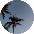 Bella C. Avatar